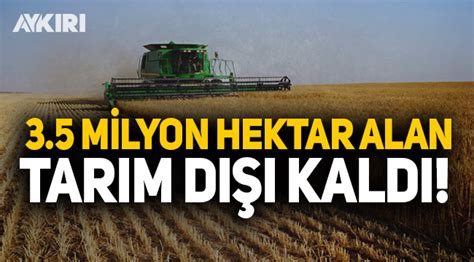 T­ü­r­k­i­y­e­’­d­e­ ­4­ ­M­i­l­y­o­n­ ­H­e­k­t­a­r­ ­A­l­a­n­ ­T­a­r­ı­m­ ­D­ı­ş­ı­ ­K­a­l­d­ı­
